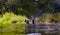 Two scientists ecologists in high rubber boots standing in the water of the forest river