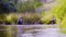 Two scientists ecologists in high rubber boots walking in the water of the forest river