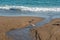 Two sea gulls searching for some food on a Black Sea wild beach