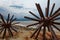 Two Sea Urchins statues in Puerto Vallarta in Mexico