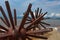 Two Sea Urchins statues in Puerto Vallarta in Mexico