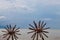 Two Sea Urchins statues in Puerto Vallarta in Mexico