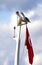 Two seagull on boat mast with Turkish flag