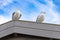 two seagulls, each looking in a different direction, sitting on the edge of a wooden roof. blue sky with white clouds