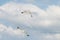 Two seagulls flying in the brigh blue sky with white clouds