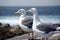 Two seagulls near sea