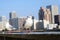 Two Seagulls play around Sumida river in Tokyo bay