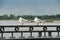 Two seagulls are sitting on the fence