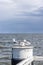 Two seagulls standing on a large metal post of a walkway at the pier with the horizon over Ä²sselmeer