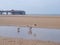 Two seagulls stood in the water in the beach at blackpool with pier in the distance with the sand stretching almost to the horizon