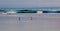 Two seagulls in the surf with people further out in the water in the Pacific ocean