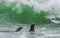 Two seals dwarfed by incoming wave