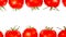 Two seamless looped rows of red fresh juicy ripe tomatoes on white background. Animation with copy space