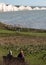 Two seated people admiring view of Seven Sisters chalk cliffs at Hope Gap, Seaford, E. Sussex on the south coast of England UK.