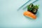 Two seaweed Sushi Chuka and sushi nigiri with salmon