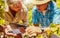 Two senior farmers picking fresh red grapes off plant in vineyard while using a digital tablet. Elderly men and