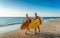 Two senior surfers with surfboard having fun on empty remote beach enjoying retirement lifestyle