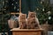 Two serene Scottish kittens sit side by side, enveloped in festive cheer, with a softly lit Christmas tree