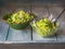 Two servings of malate in different plates on a wooden table. Salad of cabbage, cucumbers and greens