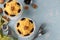 Two servings of salad with chicken, cheese and apples, decorated prunes and walnuts in glass bowls on light blue background, Copy