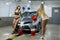 Two sexy women washes car
