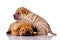 Two Shar Pei baby dogs