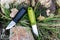 Two sharp knives. Knives with a fixed blade. Photo on stone and grass.