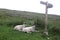 Two sheep at Blea Moor near wooden signpost