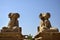 Two sheep-headed sphinxes of Small Alley in front of Karnak Temple against clear sky. Bottom view. Close-up. Famous Egyptian