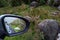 Two sheep lying on a grass close to a road . Reflection in a car mirror. Connemara, Ireland