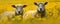 Two sheep in the meadow full of yellow flowers. Space for description. generative ai