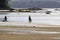 Two shellfish gatherers walking along the beach to enter the sea to shellfish clams and mussels.