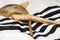 Two shofar with shawl (talit In Hebrew)