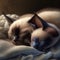 two siamese cats are sleeping on a blanket with their heads resting on each other\\\'s backs, with thei