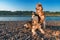 Two siberian husky dogs on the evening shore. Portrait pets on the summer beach background.