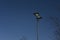 Two sided modern street lamp with dark steel blue sky background