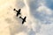 Two silhouetted spitfires dive out of the bright sun