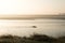 Two silhouetted surfers paddling on the River Severn on a misty sunny early morning