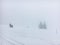 Two silhouettes in a hard white fog on a snowy mountainside