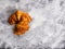 Two simple fresh homemade butter croissants isolated on white flour background.