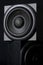 Two single-way mid-range audio speakers on a black background. Wooden case. Hi-end analog acoustics. Twilight. Daylight