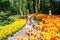Two sister girls having fun in multicolor tulips on tulip fields. Child in tulip flower field in Holland. Kid in magical