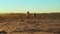 Two sisters of different ages, looking at each other holding hands, autumn weather, golden hour, sunset. Rural dirt road. Long hai