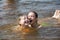 Two sisters have fun playing, swimming in a warm river in the summer