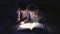 Two sisters reading a book with a flashlight in a dark room at night