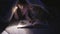 Two sisters reading a book under a blanket with a flashlight in a dark room at night