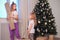 Two sisters take away each other`s gift box near Christmas tree.