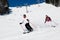 Two skiers downhill skiing