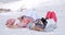 Two skiers laying on the ground