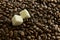 Two slices of sugar on a background of coffee beans